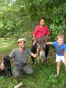 rosalie jungle lodge transport